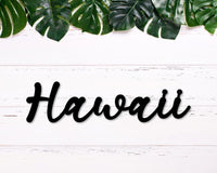 Thumbnail for Hawaii Metal Sign